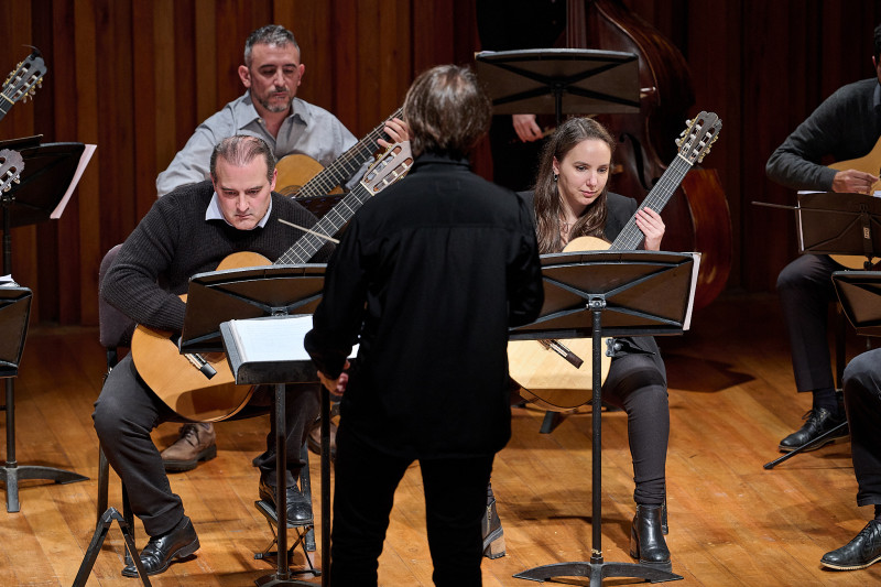 Camerata de Guitarras